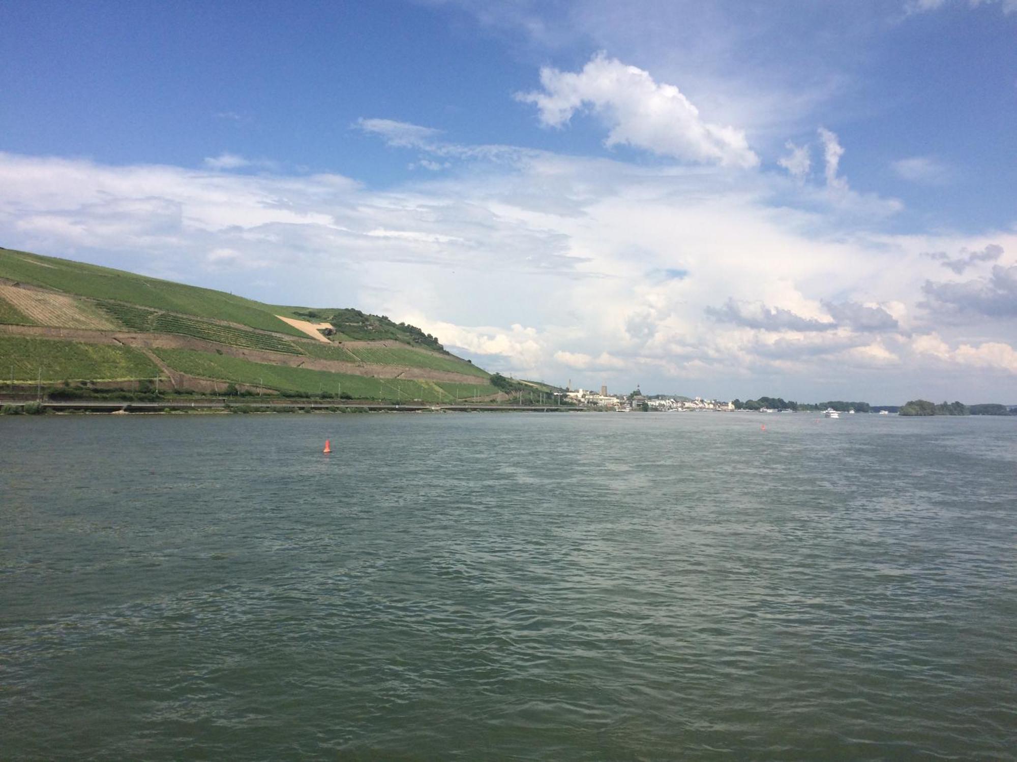 Haus Am Weinberg Lägenhet Rüdesheim am Rhein Exteriör bild