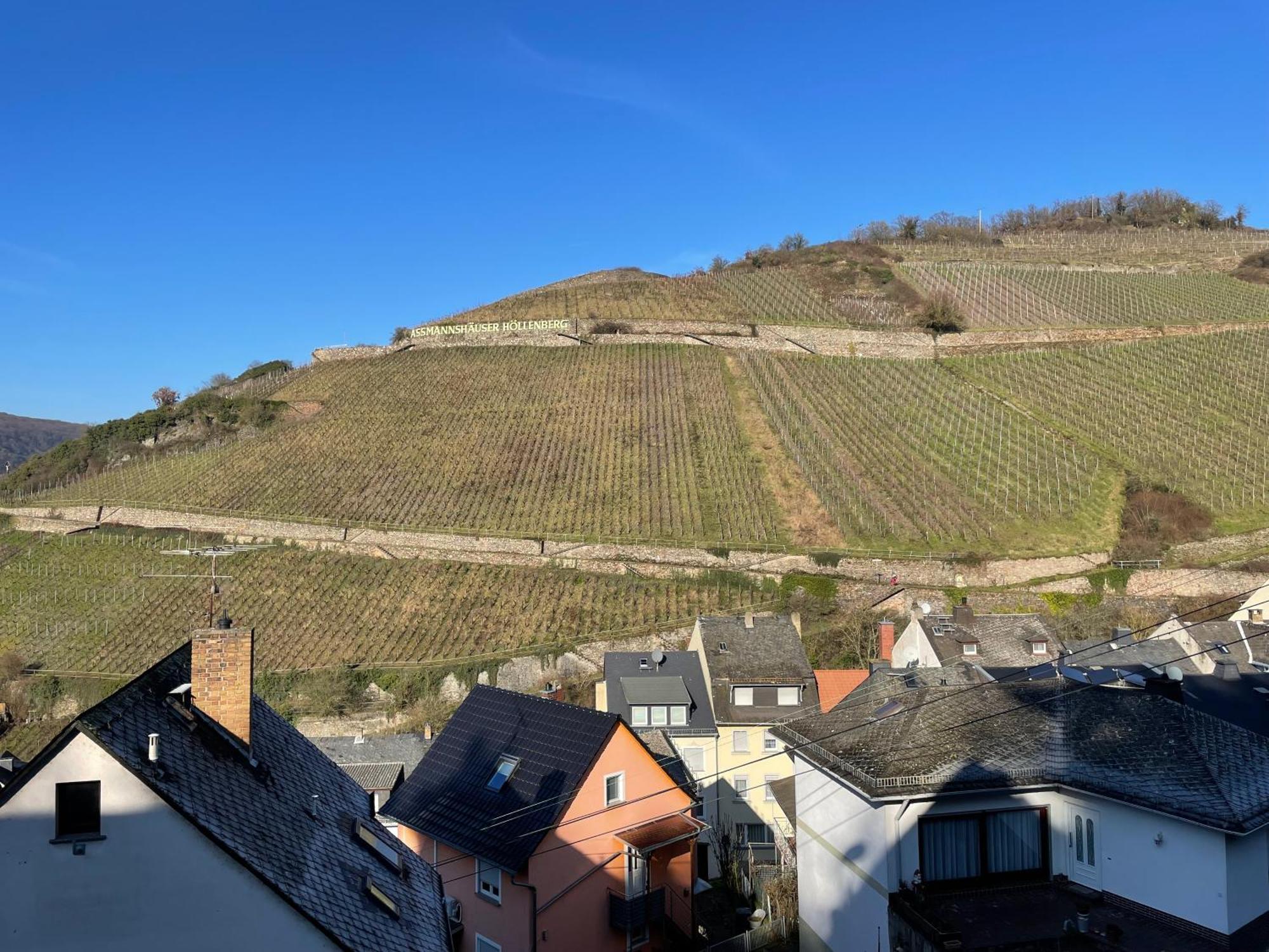 Haus Am Weinberg Lägenhet Rüdesheim am Rhein Rum bild